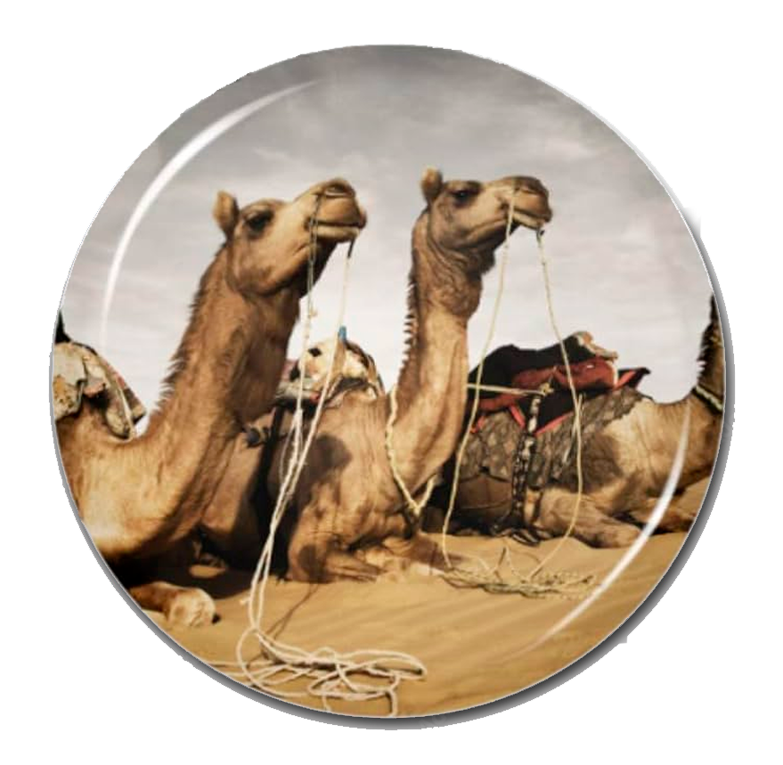 Desert